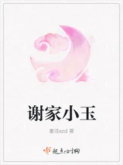《谢家小玉》小说封面