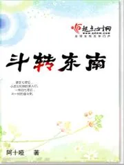 《斗转东南》小说封面
