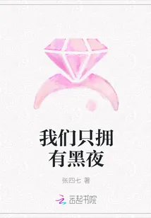 《我们只拥有黑夜》小说封面