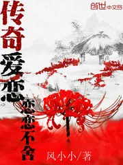 《传奇爱恋恋恋不舍》小说封面