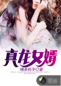 《真龙女婿》小说封面