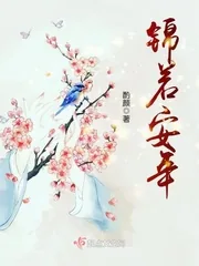 《锦若安年》小说封面
