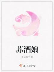 《苏酒娘》小说封面