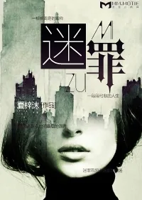 《迷罪》小说封面