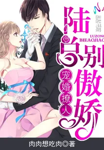 《宠婚撩人：陆总，别傲娇！》小说封面