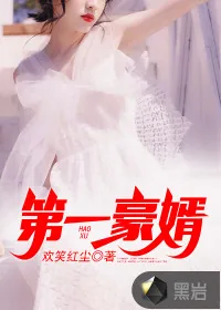 《第一豪婿》小说封面