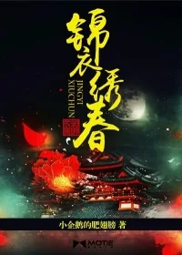 《锦衣绣春》小说封面