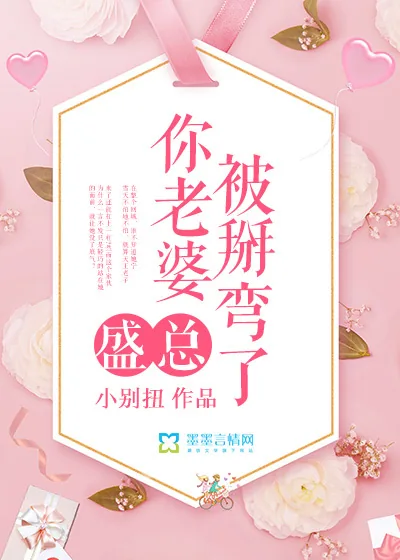 《盛总，你老婆被掰弯了》小说封面