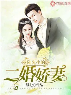 《陆先生的二婚娇妻》小说封面