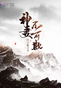 《神妻不可欺》小说封面