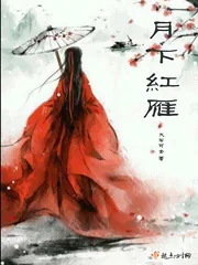 《月下红雁》小说封面