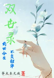 《双世录》小说封面