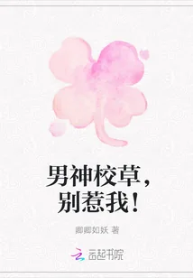 《男神校草，别惹我！》小说封面
