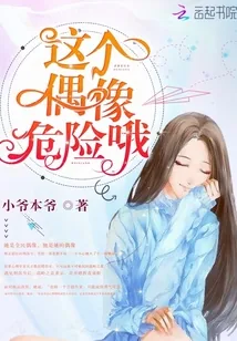 《这个偶像危险哦》小说封面