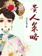 《贵人策略》小说封面