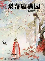 《梨落庭满园》小说封面