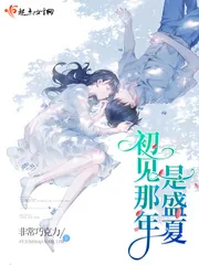 《初见那年是盛夏》小说封面