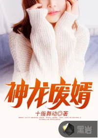 《神龙废婿》小说封面