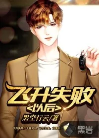 《飞升失败以后》小说封面