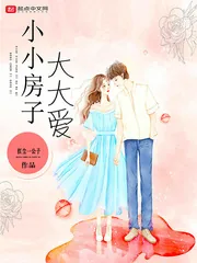 《小小房子大大爱》小说封面