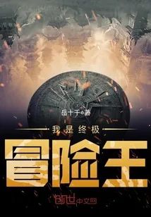 《我是终极冒险王》小说封面