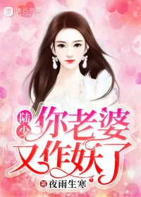 《陆少，你老婆又作妖了！》小说封面