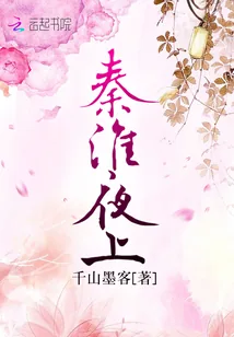 《秦淮夜上》小说封面