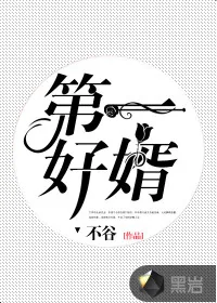 《第一好婿》小说封面