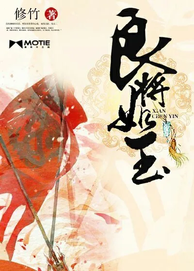 《良将如玉》小说封面