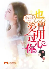 《也曾用心爱过你》小说封面