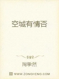 《空城有情否》小说封面