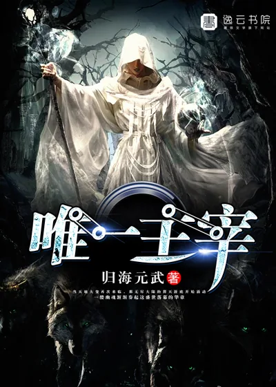 《唯一主宰》小说封面