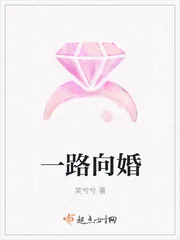 《一路向婚》小说封面