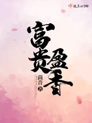 《富贵盈香》小说封面