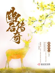 《幽后传奇》小说封面
