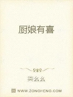 《厨娘有喜》小说封面