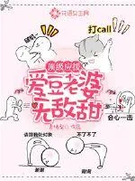 《顶级应援：爱豆老婆无敌甜》小说封面