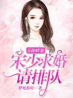 《天价鲜妻：宋少求婚请排队》小说封面