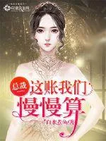 《总裁，这账我们慢慢算》小说封面