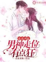 《弟弟凶猛：男神走位有点狂》小说封面