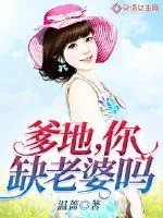 《爹地，你缺老婆吗》小说封面