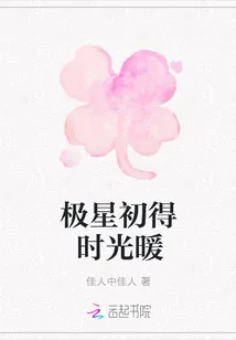 《极星初得时光暖》小说封面