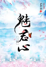 《穿越三国魅君心》小说封面