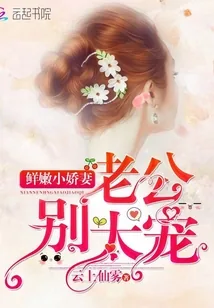 《鲜嫩小娇妻：老公，别太宠》小说封面