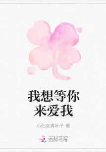 《我想等你来爱我》小说封面