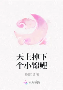 《天上掉下个小锦鲤》小说封面