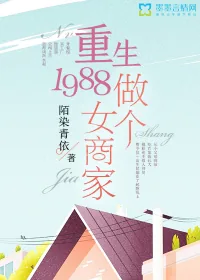 《重生1988：做个女商家》小说封面