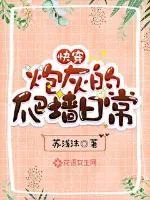 《快穿：炮灰的爬墙日常》小说封面