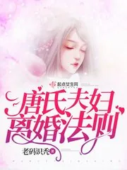 《唐氏夫妇离婚法则》小说封面