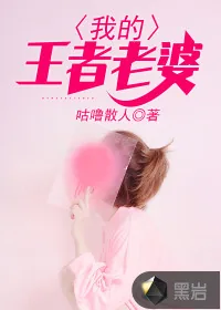 《我的王者老婆》小说封面